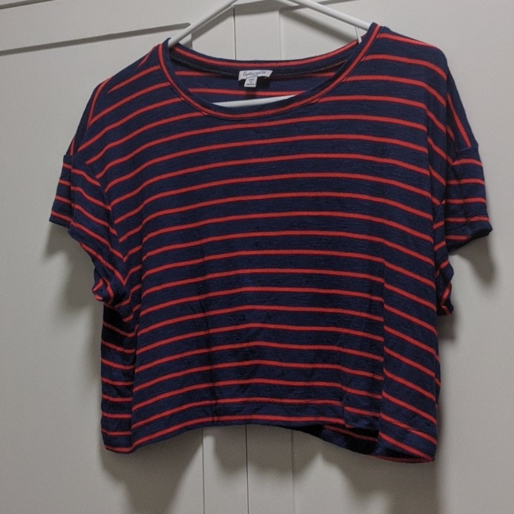 Splendid Striped Crop Top